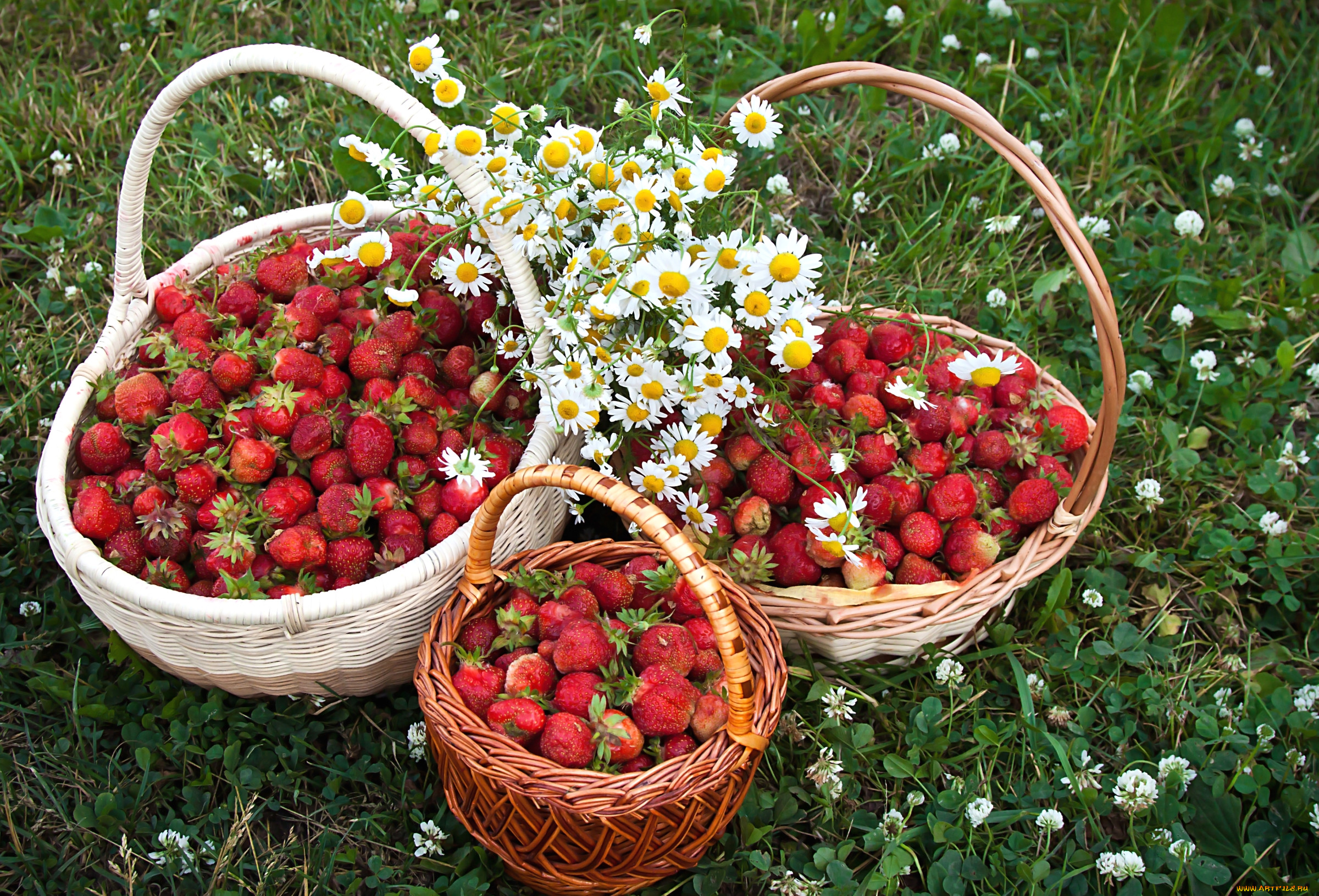 Фруктовая поляна. Корзина с ягодами. Клубника в корзинке. Летние ягоды. Ягоды в лукошке.
